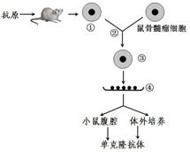 浓度过高：药害降临