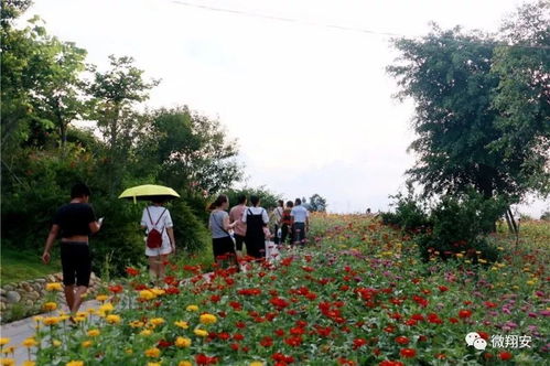 生态体验式公园， 浪漫景观