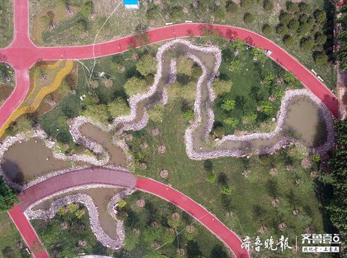 景观生态规划的融合之道