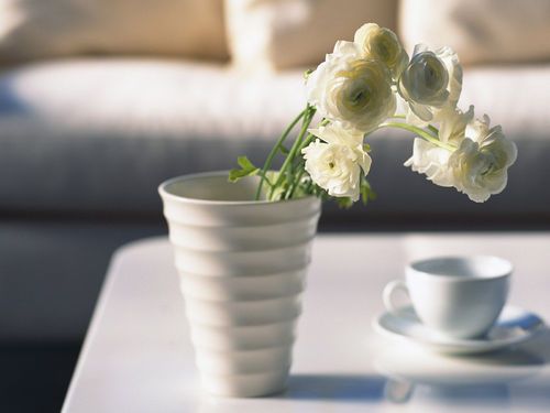百合花泡脚：舒缓疲劳，提升生活品质的秘诀！