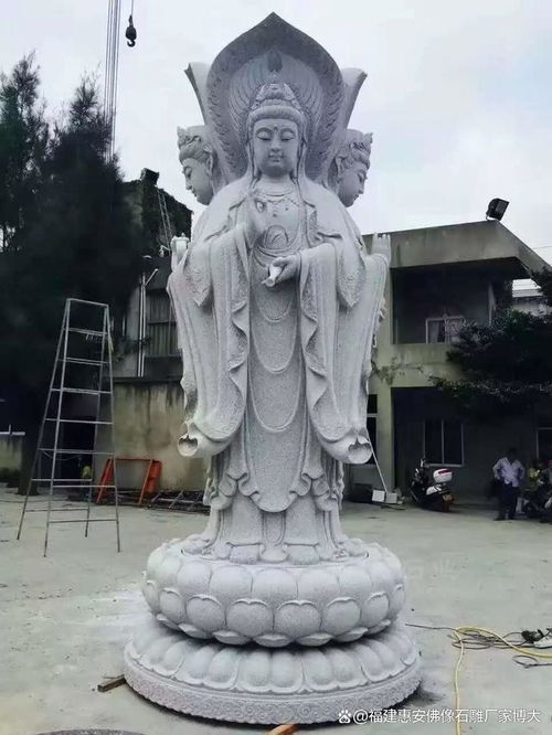 滴水观音，佛教花卉