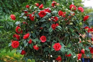 冬季管理，不可忽视