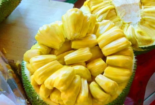 菠萝蜜核怎么做？软糯香甜的秘密