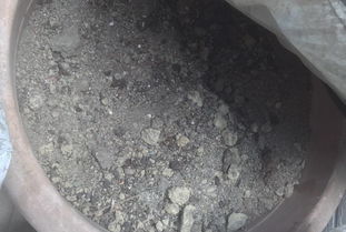 花盆换土旧土怎么消毒？如何确保土壤安全无污染