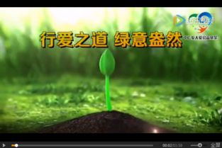 植物多样性：生命的基石与绿色的奇迹