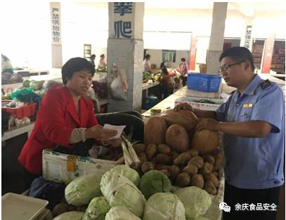 大葱农药残留问题解析