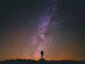 “星空的清晨，满天星浇水时间与正确方法是什么