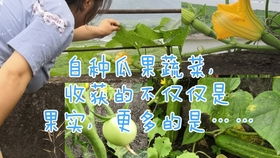 瑞典女王养护经验分享：四季健康调养之道