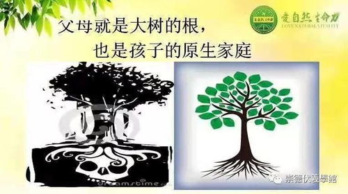 “勇敢的花中，如何揭示勇敢之美和探索生命坚韧与成长的奥秘