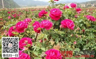 有没有什么防范方法呢？