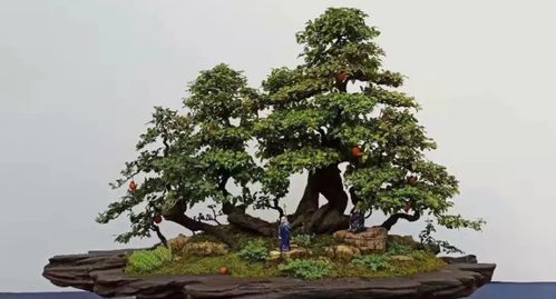 采摘时间， 别让时机错过