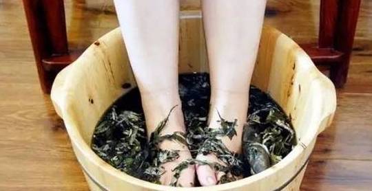 樟树叶艾叶花椒生姜泡脚效果好吗？真的能驱寒暖身吗