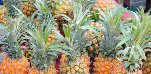 技巧在手， 砍价不愁