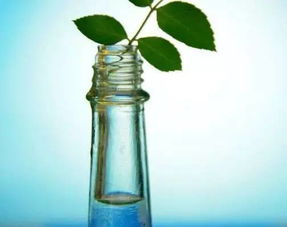 使用花露水覆盖气味