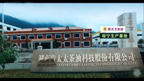 湖南贵太太茶油科技股份有限责任公司：中国茶油行业领军者
