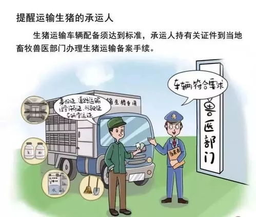 猪瘟流行特点：病毒传播途径