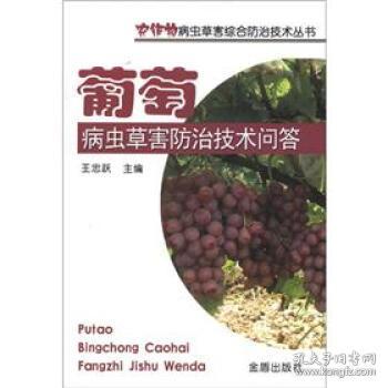 甲维盐的搭配技巧