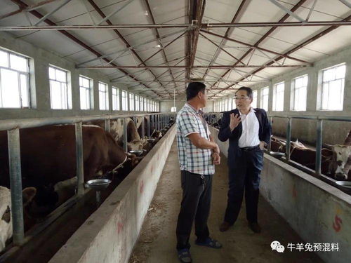 黑龙江生物发酵饲料专业在黑龙江生物科技职业学院有哪些课程设置？