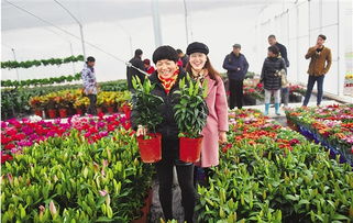 园艺过冬：Zuo好保护，迎接春天