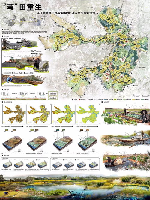 获奖作品大放异彩，让人眼前一亮