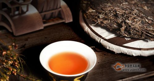 茶叶如何搭配山茶油提升口感与健康？