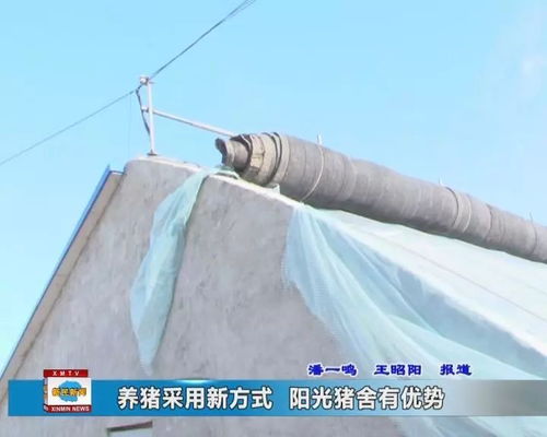 提高养猪密度，有效提升猪舍温暖度