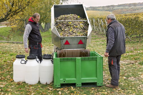 乐果农药与种子拌种：揭秘其影响