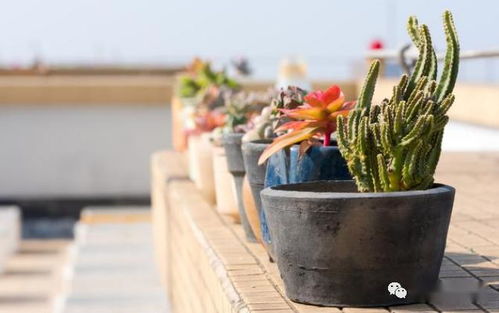 知识分享，实践沉淀