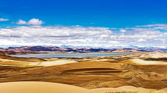 青岛五月份草本花耐海雾情况