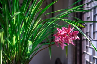 误区②：过度关爱反成害