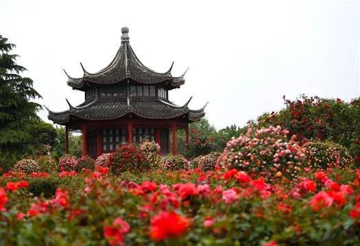 领导重视， 强力推动