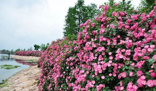 美景加分，设施齐全