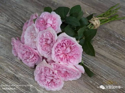 2. 注意生长温度