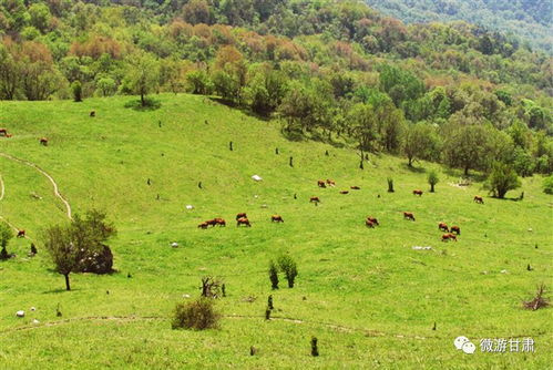 山坡地种植的注意事项