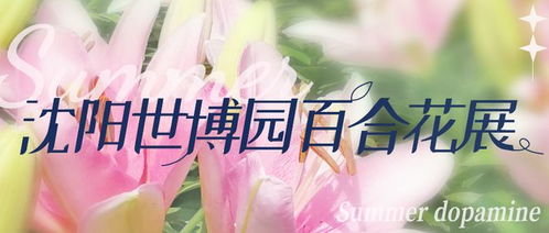 蓝荷花的花语是深情浪漫，那么请问送蓝荷花给心仪的人