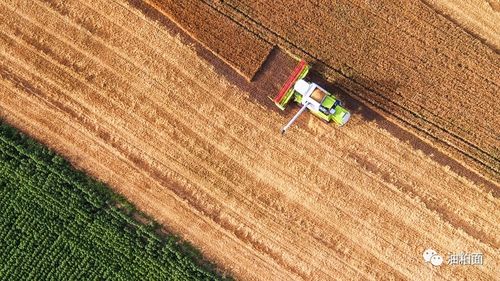 南昌旧木材交易市场的繁荣景象