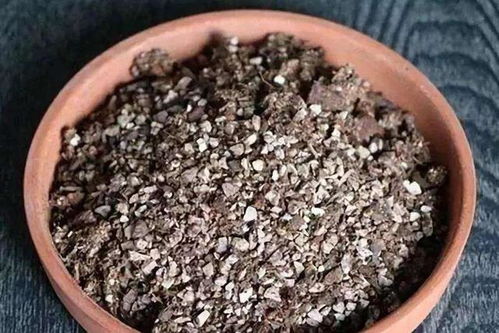 给花盆土增肥，如何选择合适的肥料