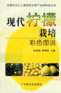 柠檬种植， 阳光下的酸甜之梦