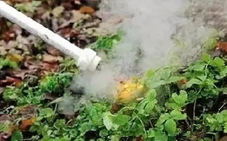 千里火除草剂：施用指南大揭秘