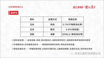 广东省饲料厂名录中，哪些企业饲料产品在环保和营养均衡方面表现突出？