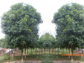 价格合理，服务周到