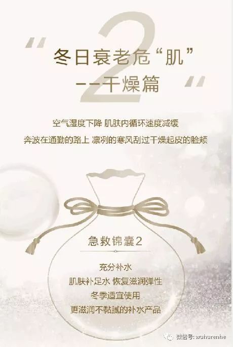 橡树籽的奇妙之旅