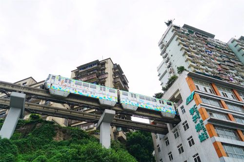 别急，我来推荐一家