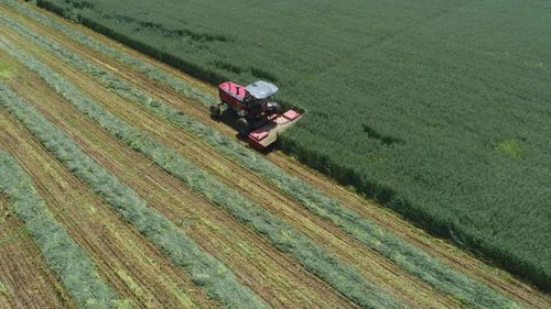 小心陷阱，别被坑了