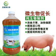 自制益生菌营养液，养殖效益翻倍新突破