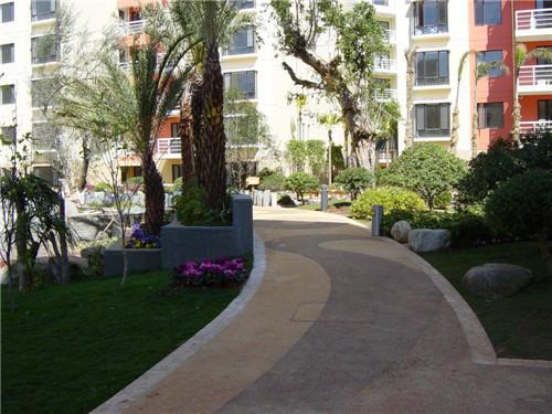 小区绿化树木与住宅楼距离的神秘面纱