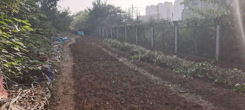 铁路沿线的菜园子