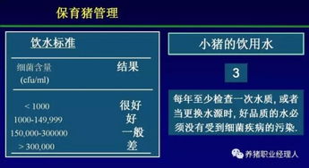 猪场温度管理要点：通风、湿度、设备调控