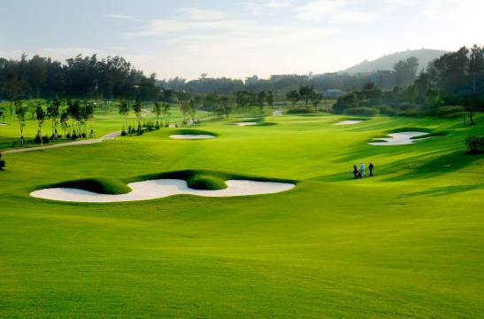 南北半球高尔夫球场发球台草种大揭秘