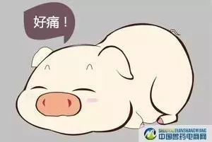 仔猪黄痢与白痢傻傻分不清？一文教你精准鉴别